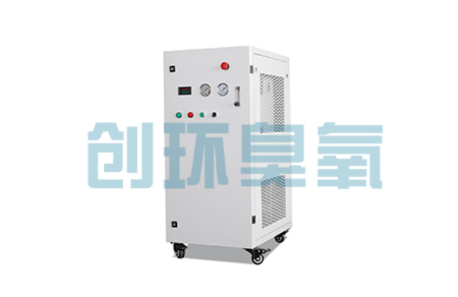 赞皇比传统换水更高效?臭氧发生器在石斑鱼养殖中的水质净化原理解析