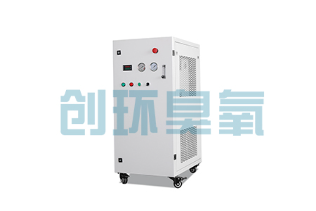 赞皇比传统换水更高效?臭氧发生器在石斑鱼养殖中的水质净化原理解析